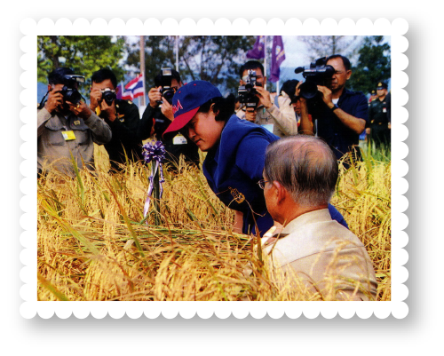 2543-harvesting-crops-field-chulachomklao-royal-military-academy
